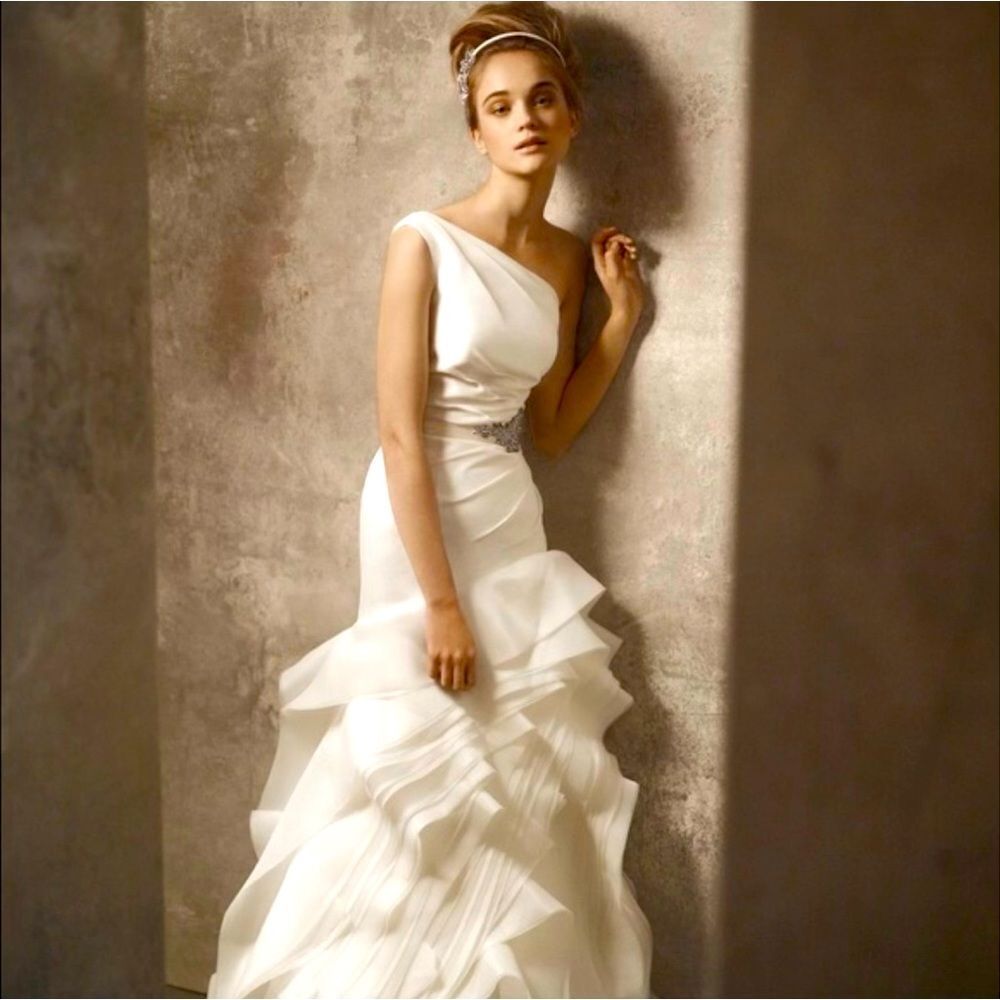 Vera Wang Wedding Dress Preserved Well